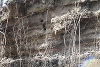 Biotopkartierung im Projektgebiet "Aufweitung Gosdorf" 