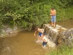 gute Haltungsnoten! © Wasserland Steiermark gute Haltungsnoten!