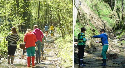 Wassertiere suchen... © Wasserland Steiermark Wassertiere suchen...