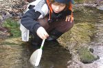 Wie muss ich den Kescher ins Wasser halten? © Wasserland Steiermark Wie muss ich den Kescher ins Wasser halten?