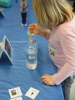 Regen-, Leitungs- oder Mineralwasser? © Wasserland Steiermark Regen-, Leitungs- oder Mineralwasser?