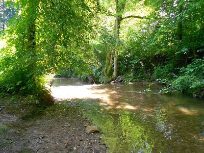Der Wildbach © Wasserland Der Wildbach