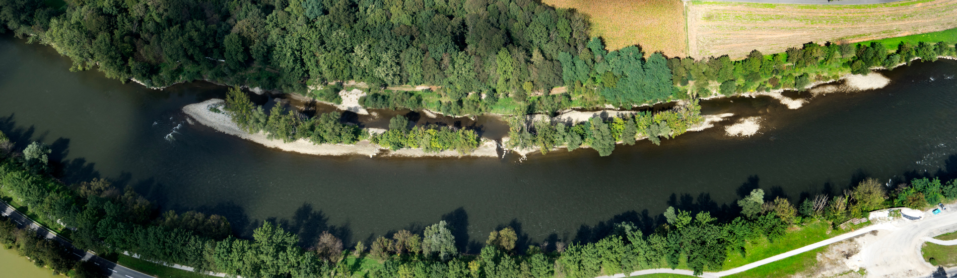Ein Fluss schlängelt sich durch eine grüne Landschaft. Wald und Felder prägen das Bild. Eine Flussaufweitung ist sichtbar.