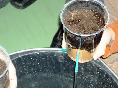 Unsere eigene, selbstgemachte Quelle !