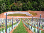Speicherbecken fertiggestellt und Weingarten ausgepflanzt