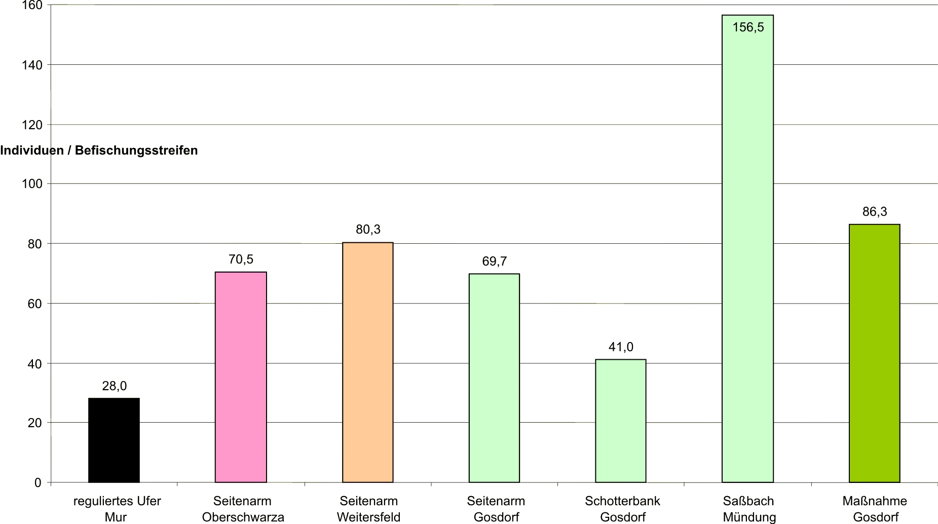 Relative Fischdichte (Individuen/Befischungsstreifen) in den Bereichen der Strukturierungen und Aufweitungen an der Grenzmur (Juni 2008)