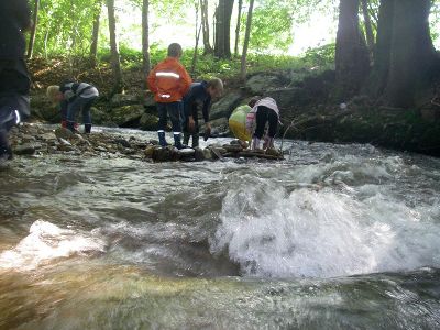 Wildbach