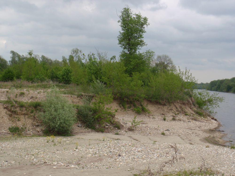 Uferentwicklung Mai 2009