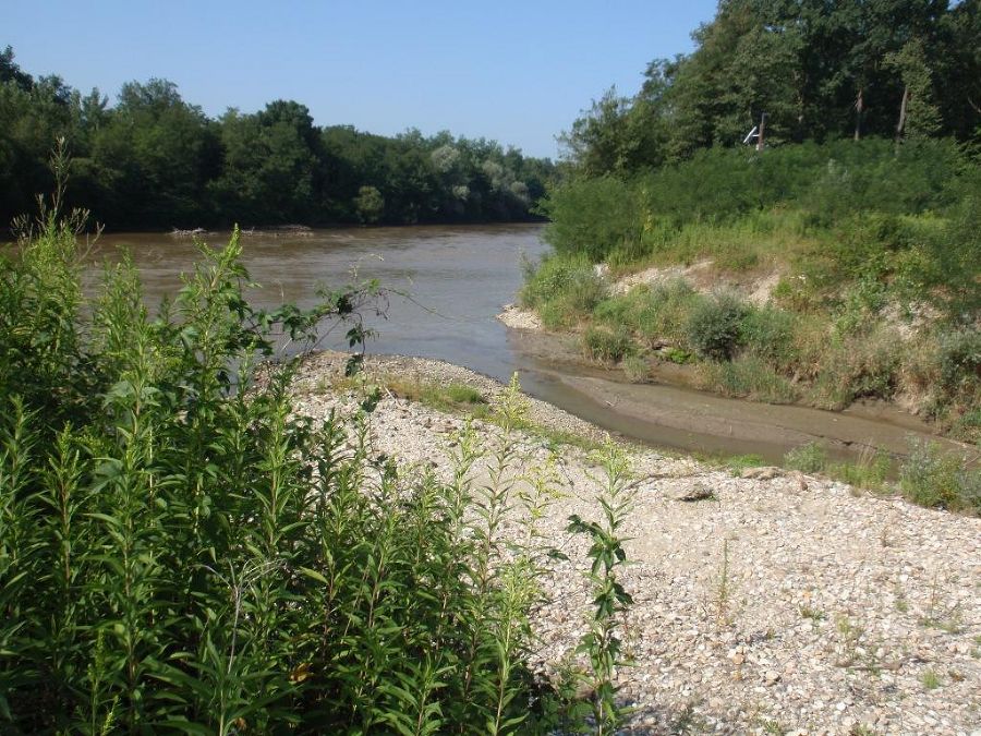 Einlauf Seitengerinne Niederwasser 2010