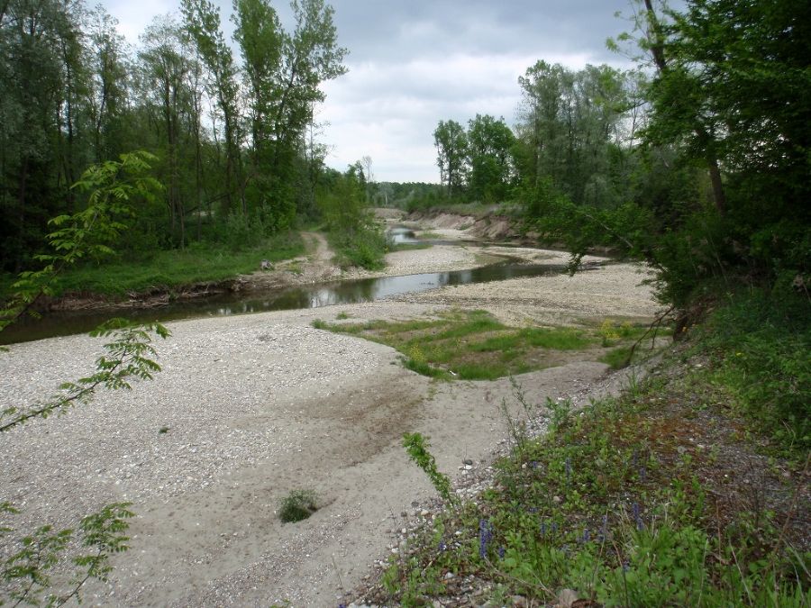 Seitengerinne Entwicklung 2009