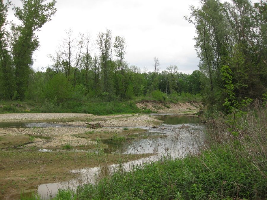 Seitengerinne Niederwasser 2010