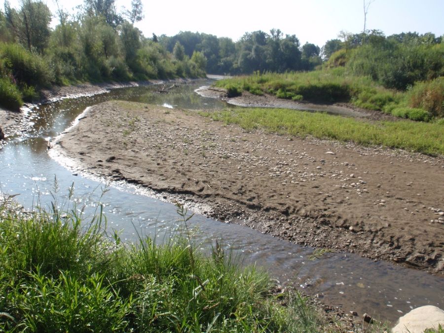 Neue Saßbachmündung - Juli 2010