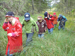 Kinder im Moor