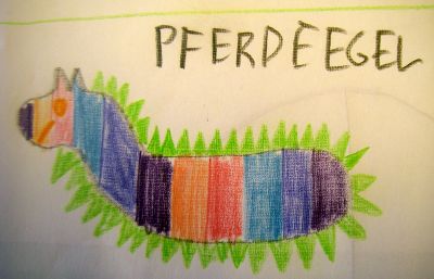 Pferde-Egel