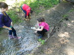 Wasserqualität testen