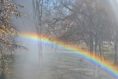 "Somewhere under the rainbow" im Grazer Augarten