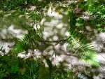 © Wasserland