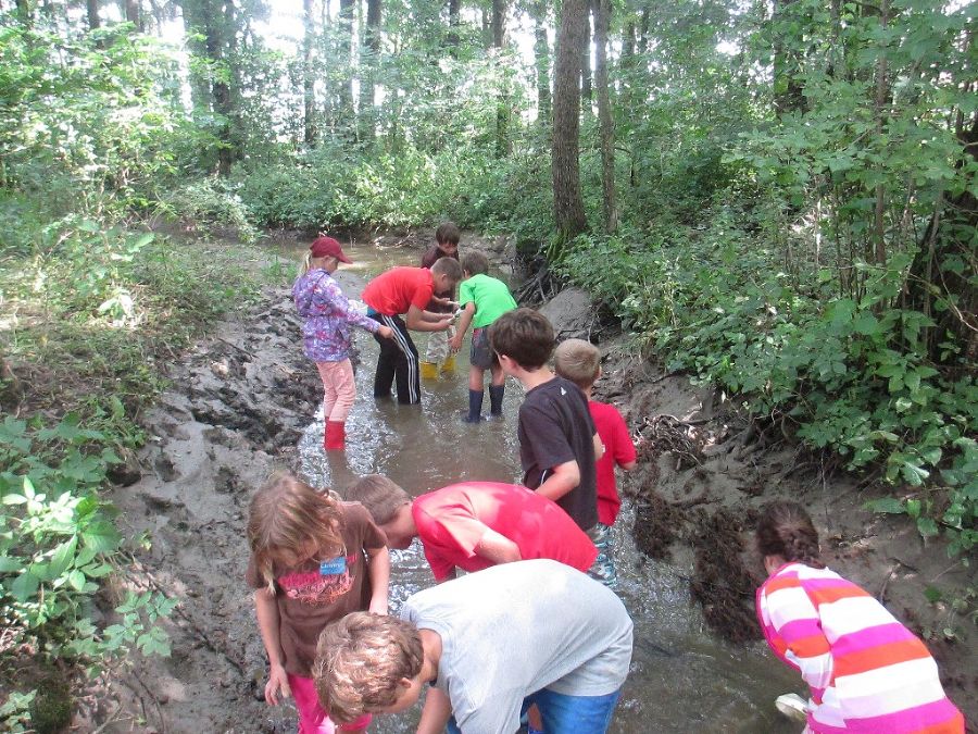 Wassertiere suchen!