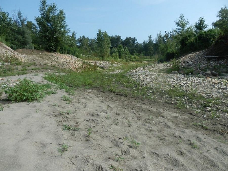 Dotation des Altarmes ab Mittelwasserführung
