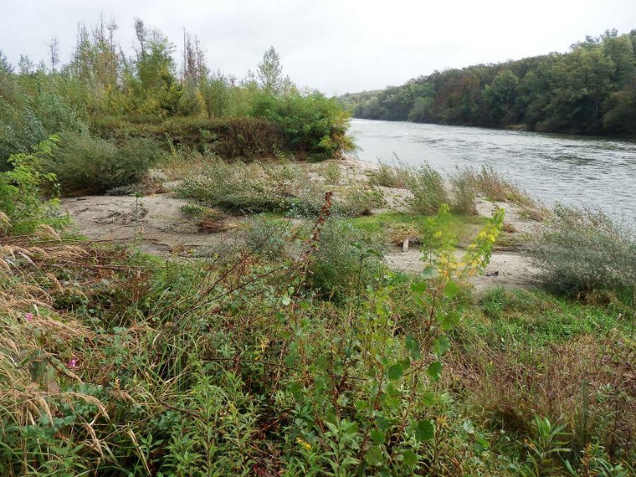 Einlaufbereich nach Hochwasser 2014