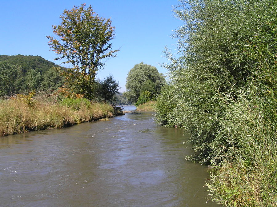 Herbstaspekt 2007