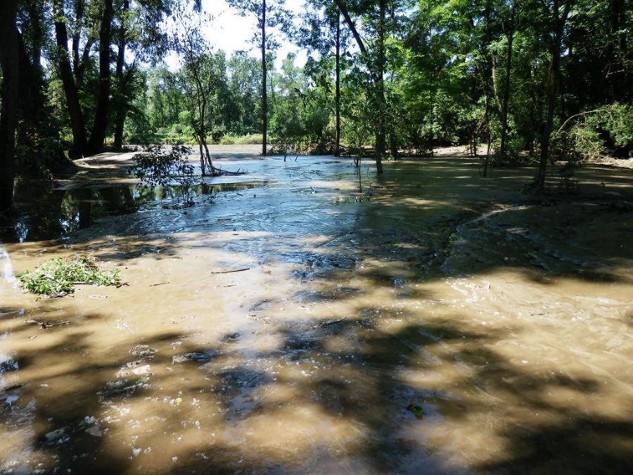 Hochwasser 2012