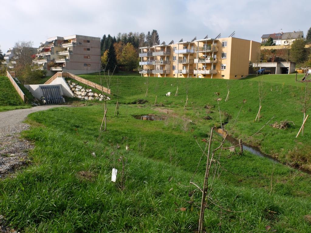 Rückhaltebecken Feldgasse/Gleisdorf Rückhaltebecken Feldgasse/Gleisdorf