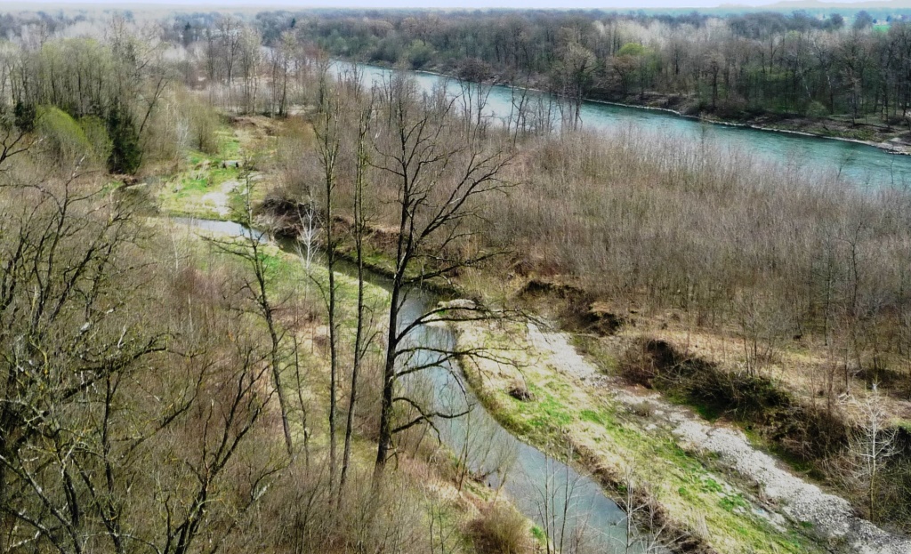 Saßbachverlängerung in einen neuen Seitenarm der Mur bei Gosdorf Saßbachverlängerung in einen neuen Seitenarm der Mur bei Gosdorf