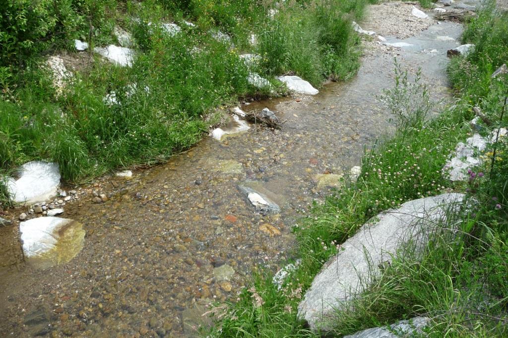 Ausbildung einer natürlichen Sohle nach Entfernung der Sohlpflasterung des Lobmingbachs, 2015 Ausbildung einer natürlichen Sohle nach Entfernung der Sohlpflasterung des Lobmingbachs, 2015