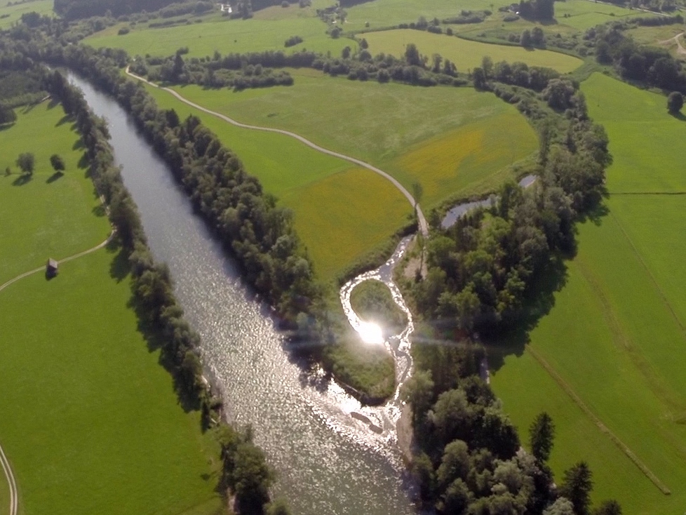 Einseitige Anbindung eines Altarms der Enns bei Admont Einseitige Anbindung eines Altarms der Enns bei Admont