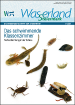 Ausgabe 1.1/2021