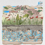 WWT 2022 © UN-Water WWT 2022