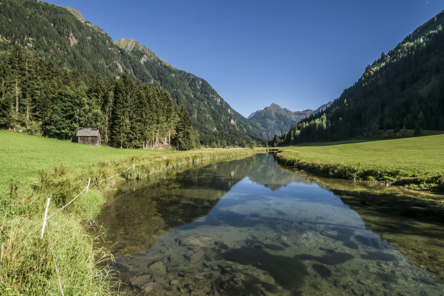 Das Tettermoor im Sommer – ein Naturjuwel im Untertal 